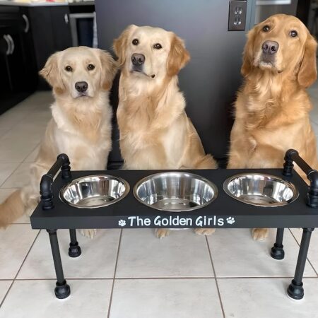 3 bowl dog bowl stand - raised dog bowl stand- Tall Dog bowl stand with stylish backsplash-Tall dog bowl stand