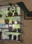 FREE SHIPPING Swivel Plant Rack - 1 to 4 shelfs Available - Swivel Display Rack & Plant Shelf
