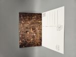 White Tailed Deer hiding in foliage postcard