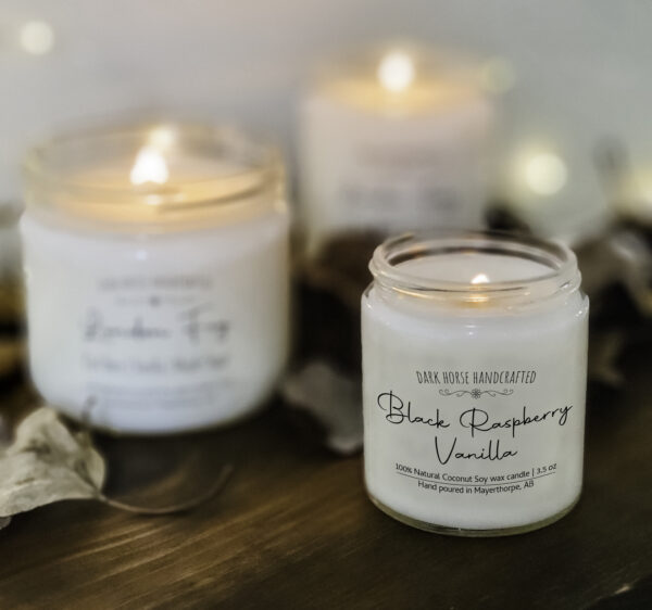 Black Raspberry Vanilla - Scented Soy Candle
