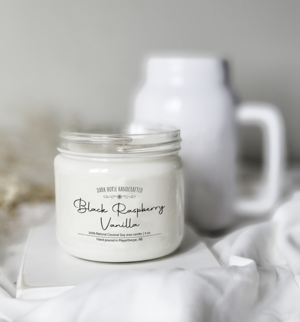 Black Raspberry Vanilla - Scented Soy Candle
