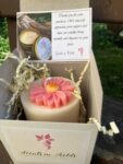 Pillar Pink Margarita by Scents in Fields