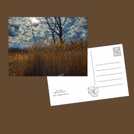 Field sky landscape Niagara postcard