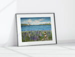 Lupines and Calico Daydream