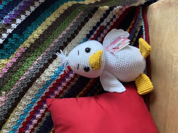White Duck