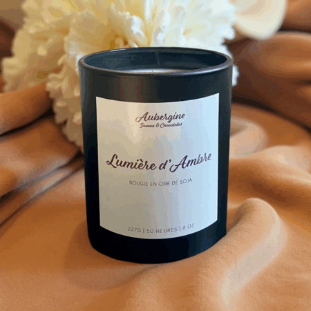 Amber Light Scented Candle / Bougie Lumière d'Ambre, 227 g.