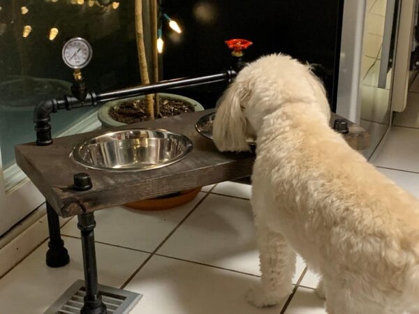 Steampunk Raised Dog Bowl Feeder: Industrial Style