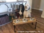 Unique steampunk style raised dog bowl feeder