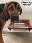 Floating water bin - wall mount water basin feeder - floating dog basin - large feeding bin-floating food bin
