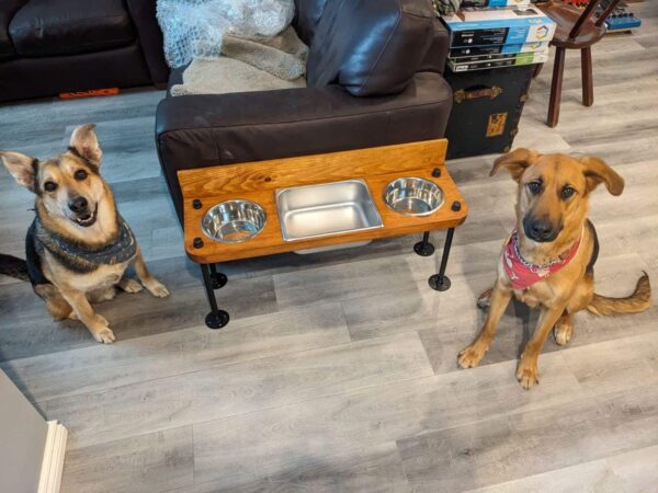 Raised water bin with 2 bowls on each end. Water Bin and Dual Feeder - tall dog bowl stand