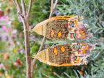 Handmade Beaded Moth Wing Earrings – Autumn Boho Fringe Jewelry in Warm Sunset Tones
