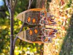 Handmade Beaded Moth Wing Earrings – Autumn Boho Fringe Jewelry in Warm Sunset Tones