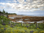 Tides of P.E.I. – Prince Edward Island Print
