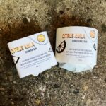 Citrus Amla Shampoo+Conditioner Set for Volume