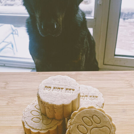 f0d577_39a5cbbd9e9e458a81ef86b9b9781066~mv2