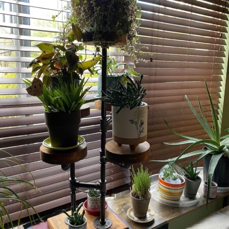 Industrial Plant Stand: 5 or 6 Tier Freestanding Metal Plant Holder - FREE SHIPPING