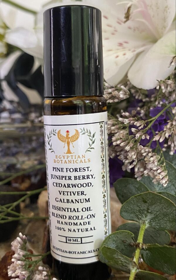 Pine Forest, Juniper Berry, Cedarwood, Vetiver, Scotch Pine, and Galbanum Essential Oil Blend Roll-On