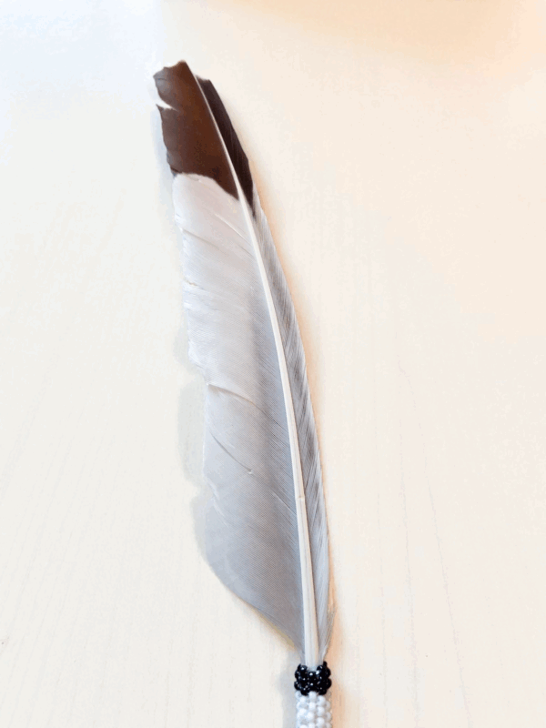 Indigenous Handcrafted Smudge Kit: Silver Sage Bundle, Beaded Feather Fan for Spiritual Cleansing
