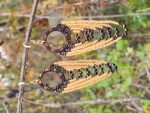 Golden Bronze Beaded Hoop Fringe Earrings