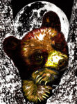Brown Bear Cub in a Tree, Hand drawn Original Wall Art