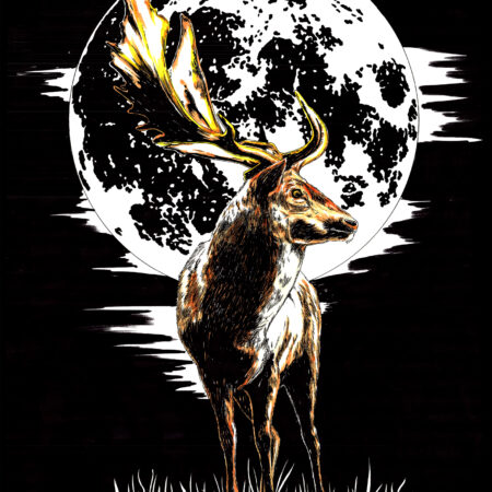 Deer in the Moonlight, Hand drawn Original Wall Art