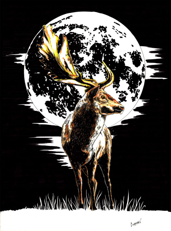 Deer in the Moonlight, Hand drawn Original Wall Art - Digital Download