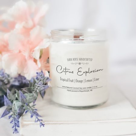 Citrus Explosion - Scented Coconut Soy wax Candle