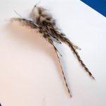feather earrings Chinchilla real feathers natural feathers