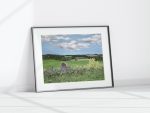 Prince Edward Island Farmland Print