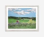 Prince Edward Island Farmland Print