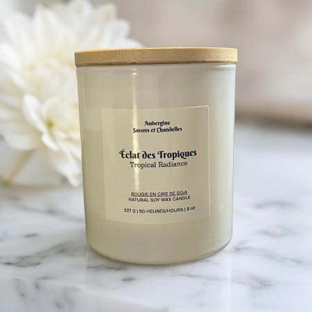 Tropical Citrus Fruits Soy Candle, 227 g.