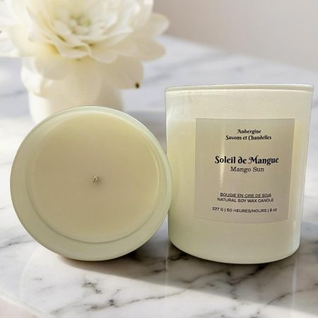 Soleil de Mangue 1