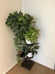 Industrial Plant Stand: 5,6 or 7 Tier Freestanding Metal Plant Holder - FREE SHIPPING