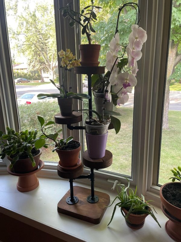Industrial Plant Stand: 5,6 or 7 Tier Freestanding Metal Plant Holder - FREE SHIPPING