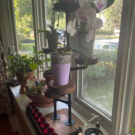 il_794xN.6779301784_kib5 (1)