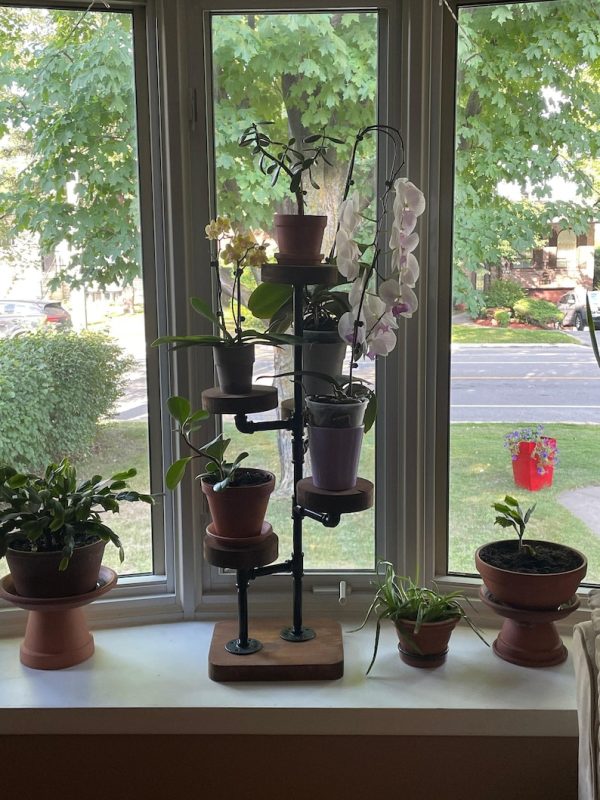 Industrial Plant Stand: 5,6 or 7 Tier Freestanding Metal Plant Holder - FREE SHIPPING