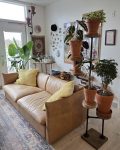 Industrial Plant Stand: 5,6 or 7 Tier Freestanding Metal Plant Holder - FREE SHIPPING