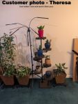Industrial Plant Stand: 5,6 or 7 Tier Freestanding Metal Plant Holder - FREE SHIPPING