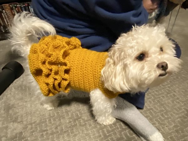 Crochet Pet Sweaters