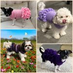 Crochet Pet Sweaters