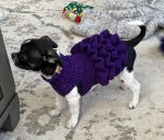 Crochet Pet Sweaters
