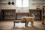 Industrial Inspired Raised Dog Bowl Feeder