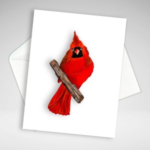 Cardinal Note Card