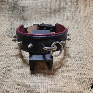 Hand Made leather spiked collar