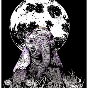 Baby Elephant, Hand drawn Original Wall Art