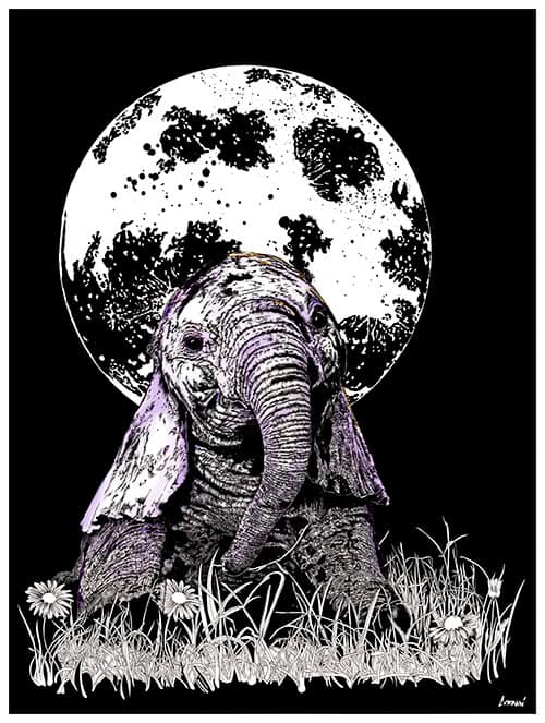 Baby-Elephant-1-Jpeg-small