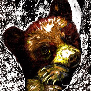 Brown Bear Cub in a Tree, Hand drawn Original Wall Art