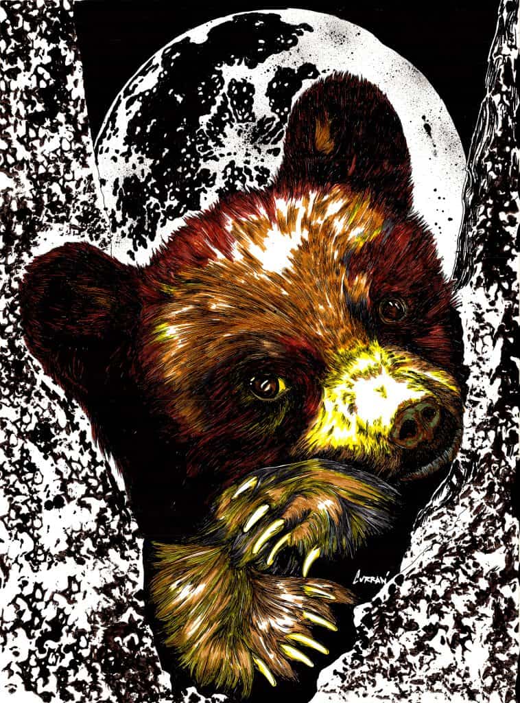 Bear-Cub-1-Jpeg-Small-1