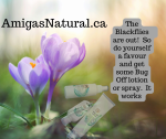 Bug Off - Natural - Bug spray - Bug Lotion - Insect Repellent
