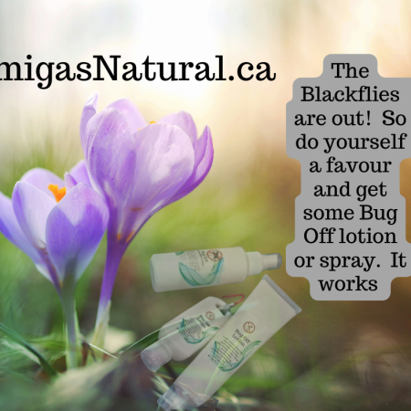 Blackflies are out (Facebook Post)